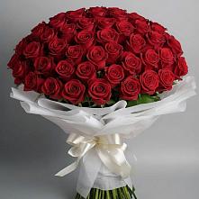 Букет 101 Красная роза Блэк Мэджик в Гусевский