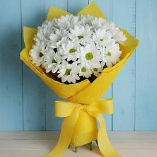 Букет цветов из:  Хризантемы в Гусевский
