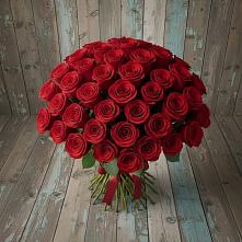 Букет 55 Красных роз Фридом #REPLACE_PRED# Гусевский
