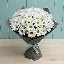 Букет цветов из:  Хризантемы в Гусевский