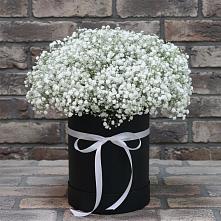 Цветочная композиция из Гипсофила в шляпной коробке #REPLACE_PRED# Гусевский